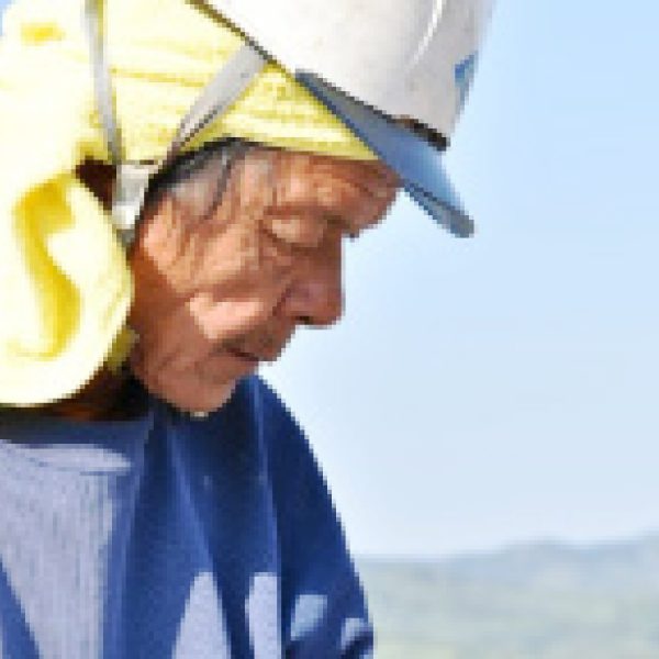 山口さん